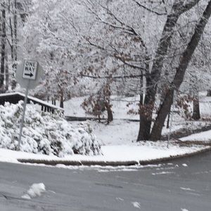 Meet your Posher, Lamarette